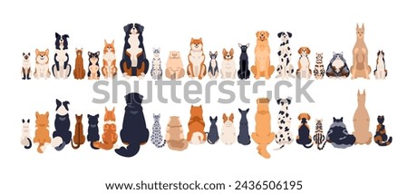 Dogs and cats, front and back rear views, tails. Canine and feline animals group sitting in row, line. Many pets breeds, horizontal border. Flat vector illustration isolated on white background