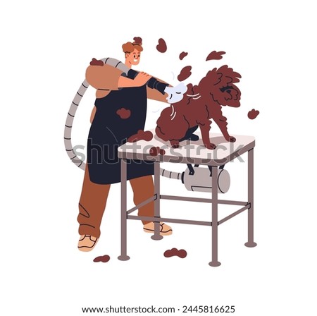 Dog grooming service, professional express molt. Doggy at groomer, canine beauty salon. Removing hair, shedding with vacuum blow dryer. Flat graphic vector illustration isolated on white background