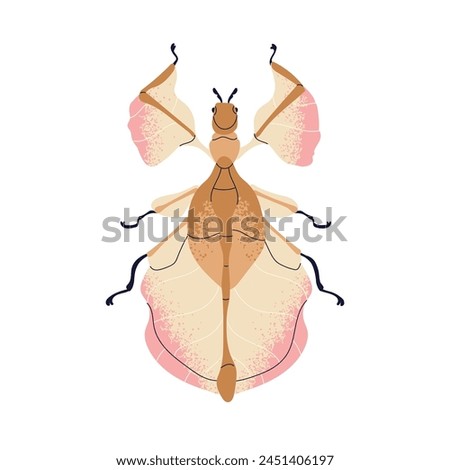 Beautiful fictional beetle. Whimsical bug species. Wonderful delicate insect with gentle wings, top view. Abstract imaginary phylliidae. Flat vector illustration isolated on white background