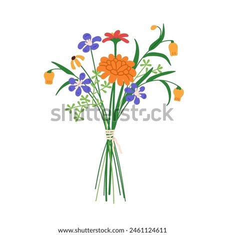 Summer flower bouquet. Wildflower bunch. Floral arrangement with field blossoms, gentle beautiful blooms tied with string. Fresh delicate buds. Flat vector illustration isolated on white background