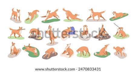 Dog behavior, canine activities set. Doggy playing, training, feeding, running, sleeping. Pet animals life, different poses, stances, actions. Flat vector illustrations isolated on white background