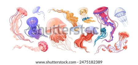 Similar – Image, Stock Photo jelly Jellyfish