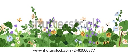 Field flower and grass border. Spring meadow, summer floral pattern with wildflowers. Summer bloom and blossom, horizontal botanical decoration. Flat vector illustration isolated on white background