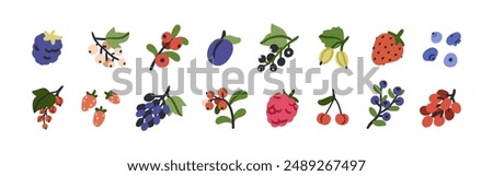 Berries set. Strawberry, blackberry, black and red currant, blueberry, bilberry, raspberry, cherry, grape branch, plum, gooseberry fruits. Flat vector illustration isolated on white background