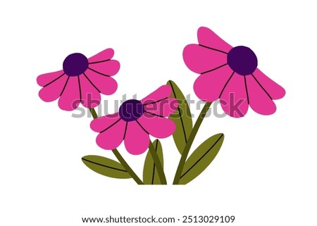 Similar – Image, Stock Photo White inflorescences of Echinacea purpurea