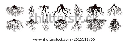 Tree roots silhouettes set. Wood growth, plant system, eco pattern, natural organic shapes. Bare underground forest branches. Botany elements. Flat vector illustration isolated on white background