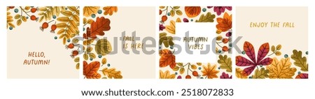 Fall leaves, greeting card designs set. Autumn forest leaf, foliage backgrounds collection. Seasonal autumnal natural square post templates with leaves pattern. Botanical flat vector illustrations