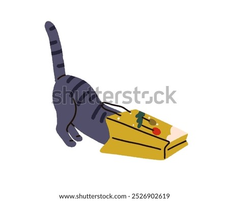 Similar – Image, Stock Photo cat inside a christmas gift box with lights