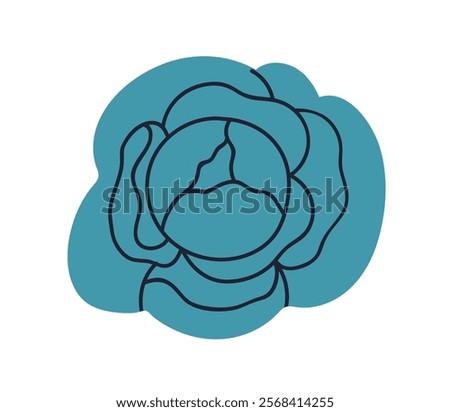 Cabbage, leaf vegetable. Fresh green leafy kale head, food product for salads. Healthy natural cole, organic farm crop, harvest. Flat graphic vector illustration isolated on white background