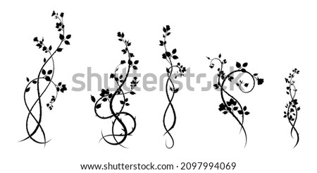 a selection of ornament elements of patterns rose vine and flowers. vector stock image
