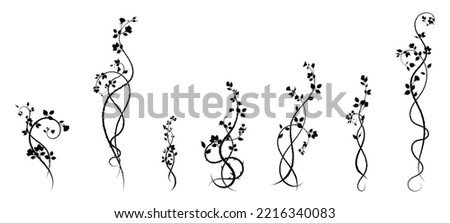 new selection ornament roses weaving plant for pattern. scroll image vector