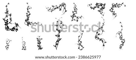 large selection of climbing hawthorn plants for ornament. stock vector image