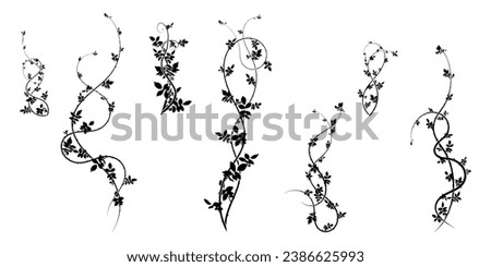 ivy pattern hawthorn plant for ornament. stock vector image