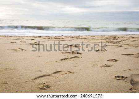 quiet winter walk on the beach, Vendee, la Faute sur Mer, France