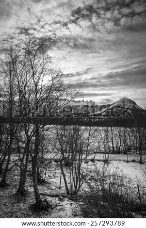 Black and white Norwegian landscape with snowy mountains in the winter, Nordland, Norway