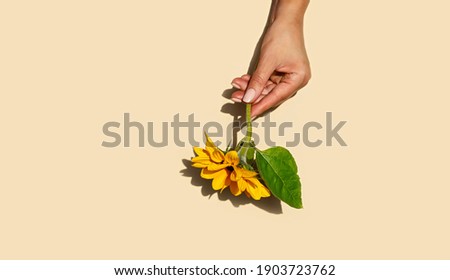 Similar – Image, Stock Photo Sunflower pastel minimalist