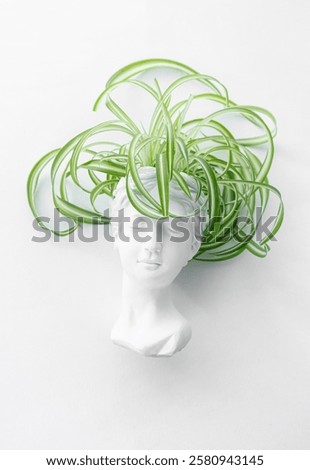 Similar – Image, Stock Photo Crop woman sculpturing pot with clay