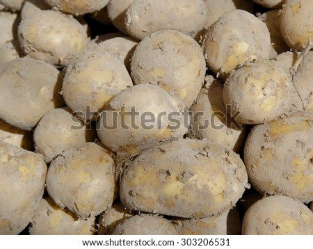 early potato