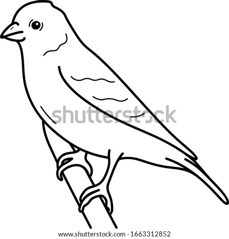 Eastern Goldfinch. Iowa State symbol. Vector outline icon.