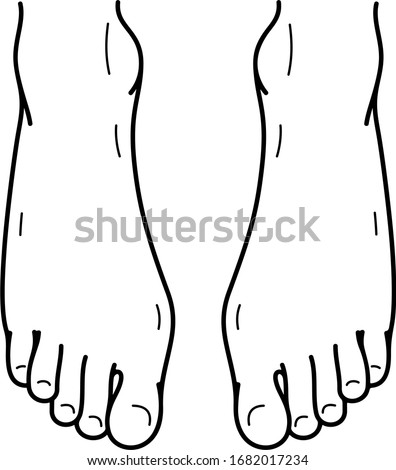 Human foots. Vector outline icon.