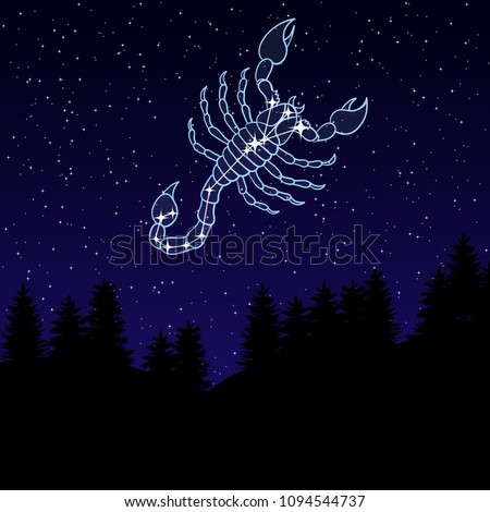 vector illustration of a night sky with the constellation of Scorpio. Zodiac sign among the star. Night landscape with starry sky and silhouettes of spruce trees.