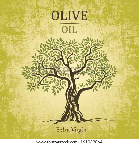 Olive tree on vintage paper. Olive oil. Vector  olive tree. For labels, pack.