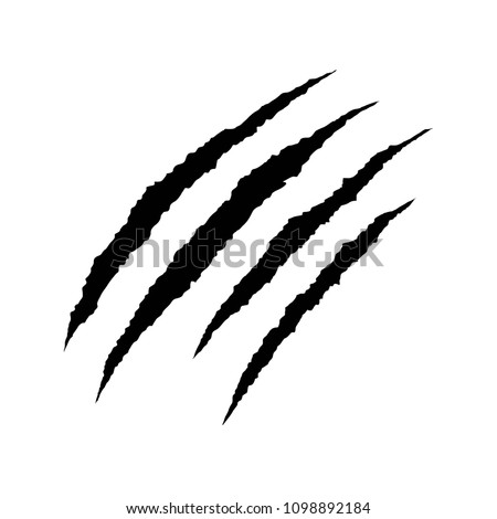 Claws scratching illustration. Vector design.