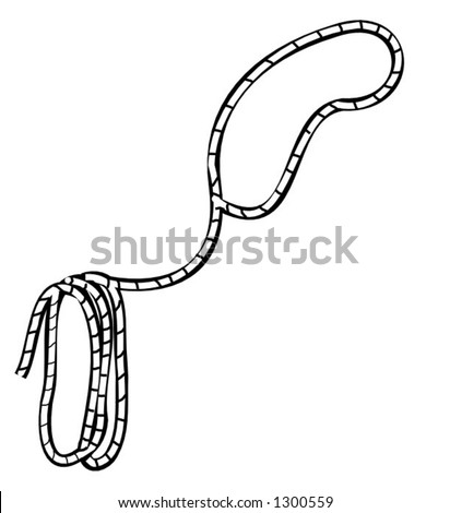 Lasso Stock Vector Illustration 1300559 : Shutterstock