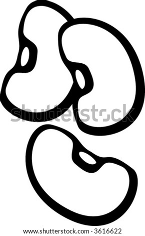 Beans Stock Vector Illustration 3616622 : Shutterstock