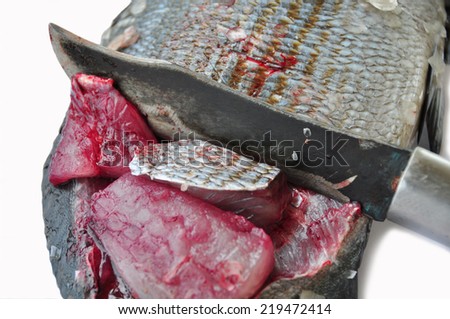 Fresh fish isolate on white back ground, Fillet of Fish, Healthy food, Fresh fish from sea.