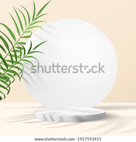 Realistic vector composition with geometrical shapes and palm leaves on a beige background. Minimalistic scene for advertising banners. Trendy branding mockup.