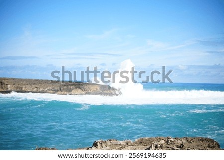 Similar – Image, Stock Photo By the wayside Summer