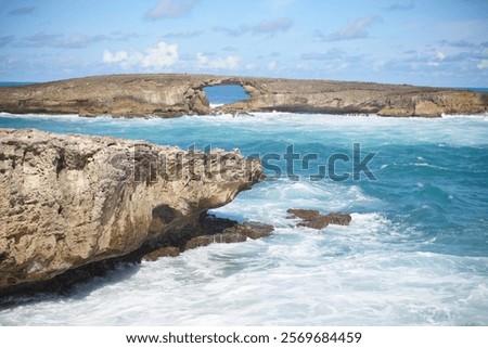 Similar – Image, Stock Photo By the wayside Summer