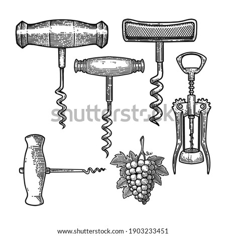 Set of Illustrations of corkscrew in engraving style. Design element for poster, card, banner, sign. Vector illustration