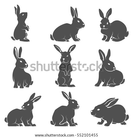 Set of rabbit icons isolated on white background. Vector illustration