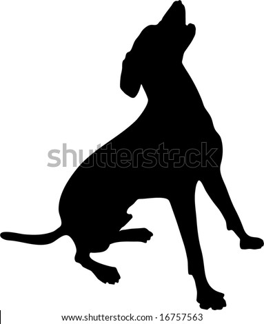 A Dog Sitting Up And Barking Stock Photo 16757563 : Shutterstock