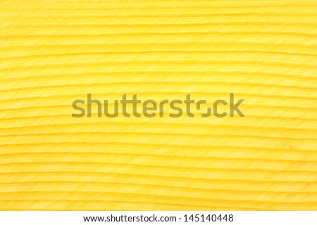 The picture of texture yellow fabric background