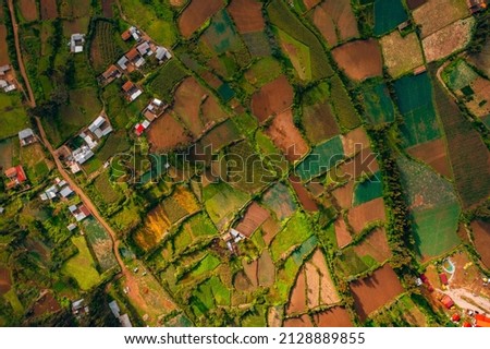 Crop fields Picoy, Tarma - Junin Foto stock © 