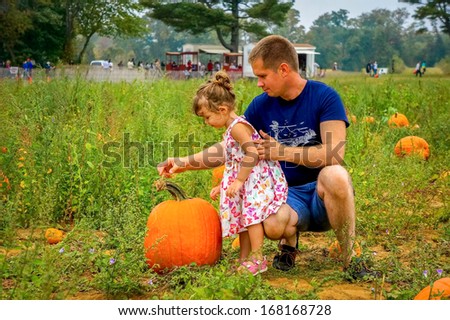 Father and daughter are picking pumpkins