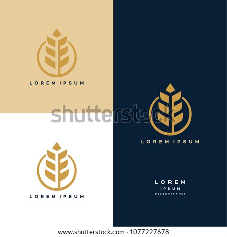 Luxury Grain wheat logo concept, Agriculture wheat Logo Template vector icon