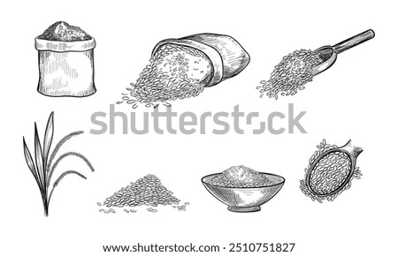 This image depicts a hand-drawn illustration of rice in various forms, including sacks, scoops, bowls, piles, and stalks.