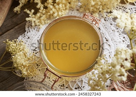 Similar – Image, Stock Photo Elder flower syrup ingredients: Elder branch, lemon and sugar in glass jar