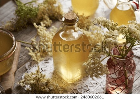 Image, Stock Photo Elder flower syrup ingredients: Elder branch, lemon and sugar in glass jar