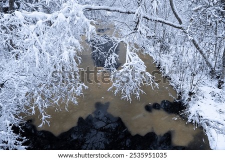 Similar – Image, Stock Photo Thick snowfall at night