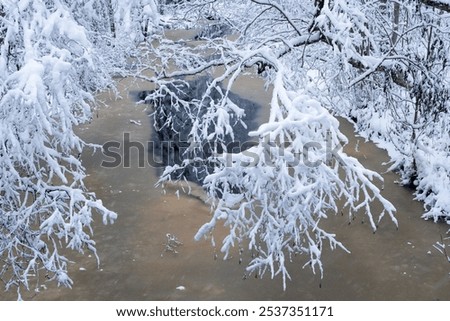 Similar – Image, Stock Photo Thick snowfall at night