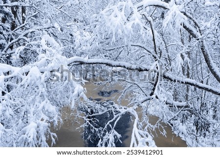 Similar – Image, Stock Photo Thick snowfall at night