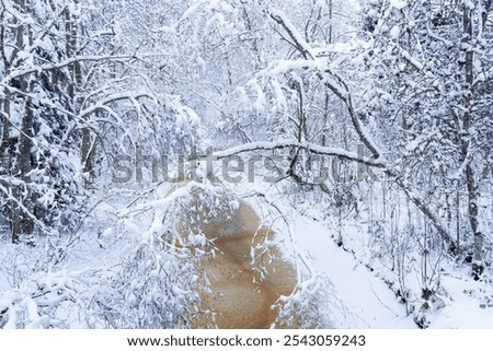 Similar – Image, Stock Photo Thick snowfall at night