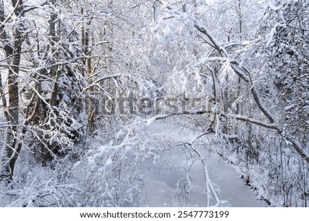 Similar – Image, Stock Photo Thick snowfall at night