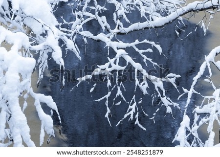 Similar – Image, Stock Photo Thick snowfall at night