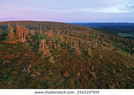 Similar – Image, Stock Photo Vibrant summertime landscapes in wisconsin